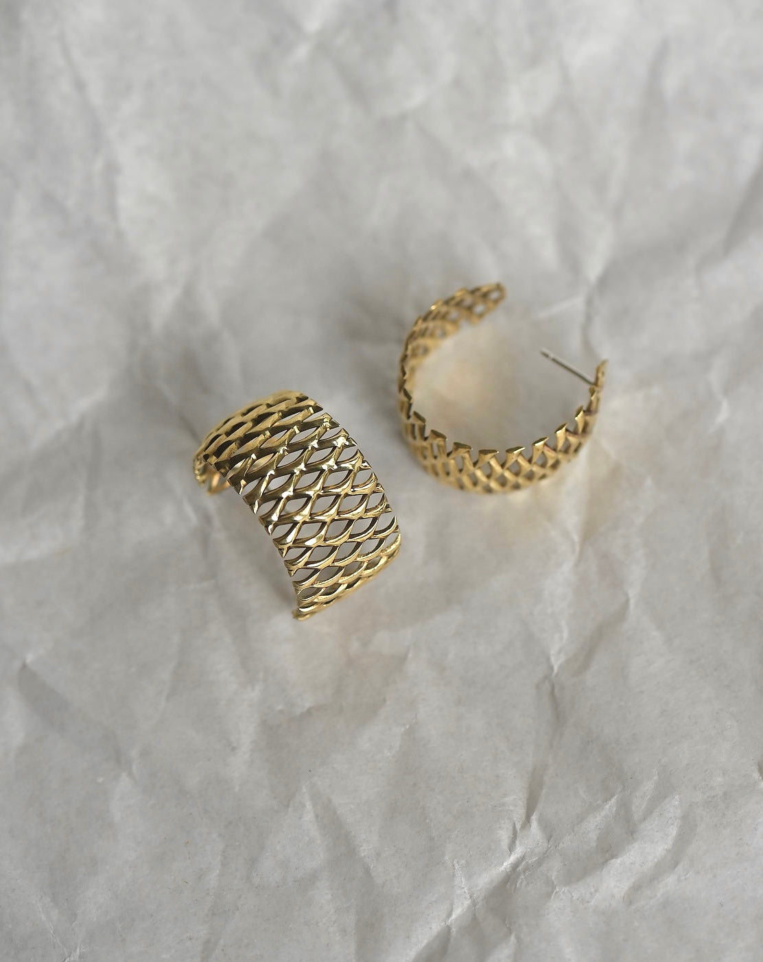 ENTITY EARRINGS