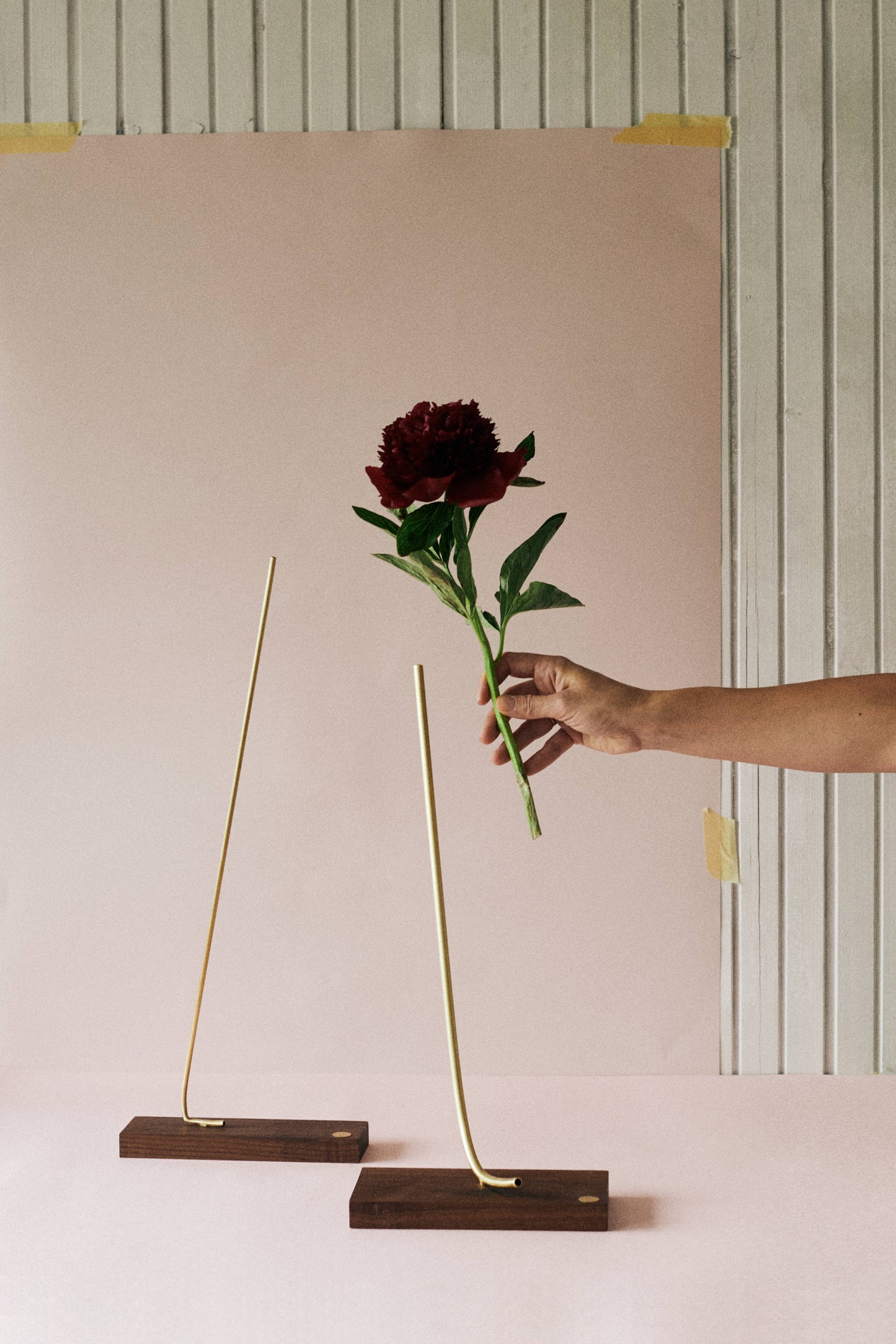 VASE BANKSIA