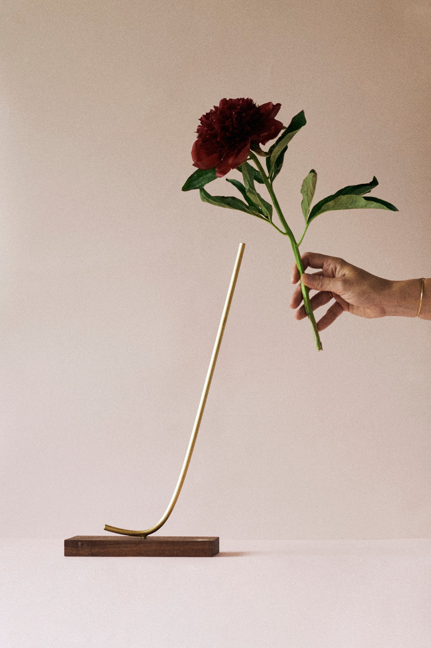 VASE BANKSIA