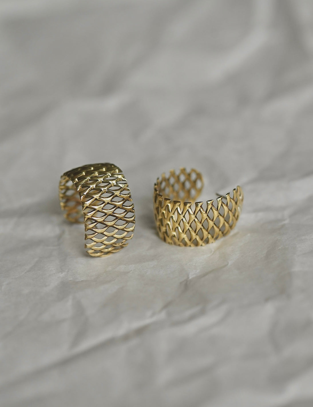 ENTITY EARRINGS