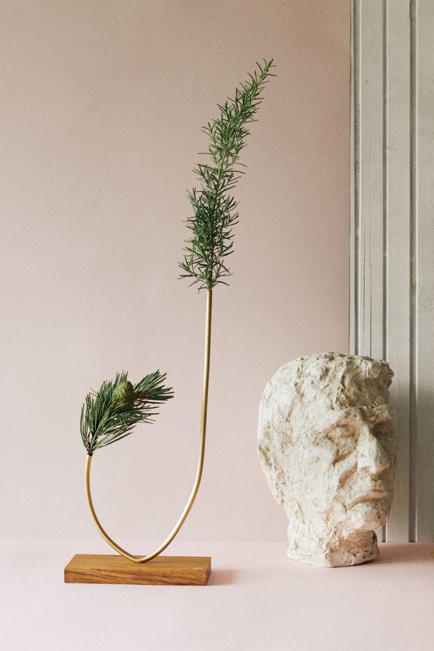VASE CYPRESS