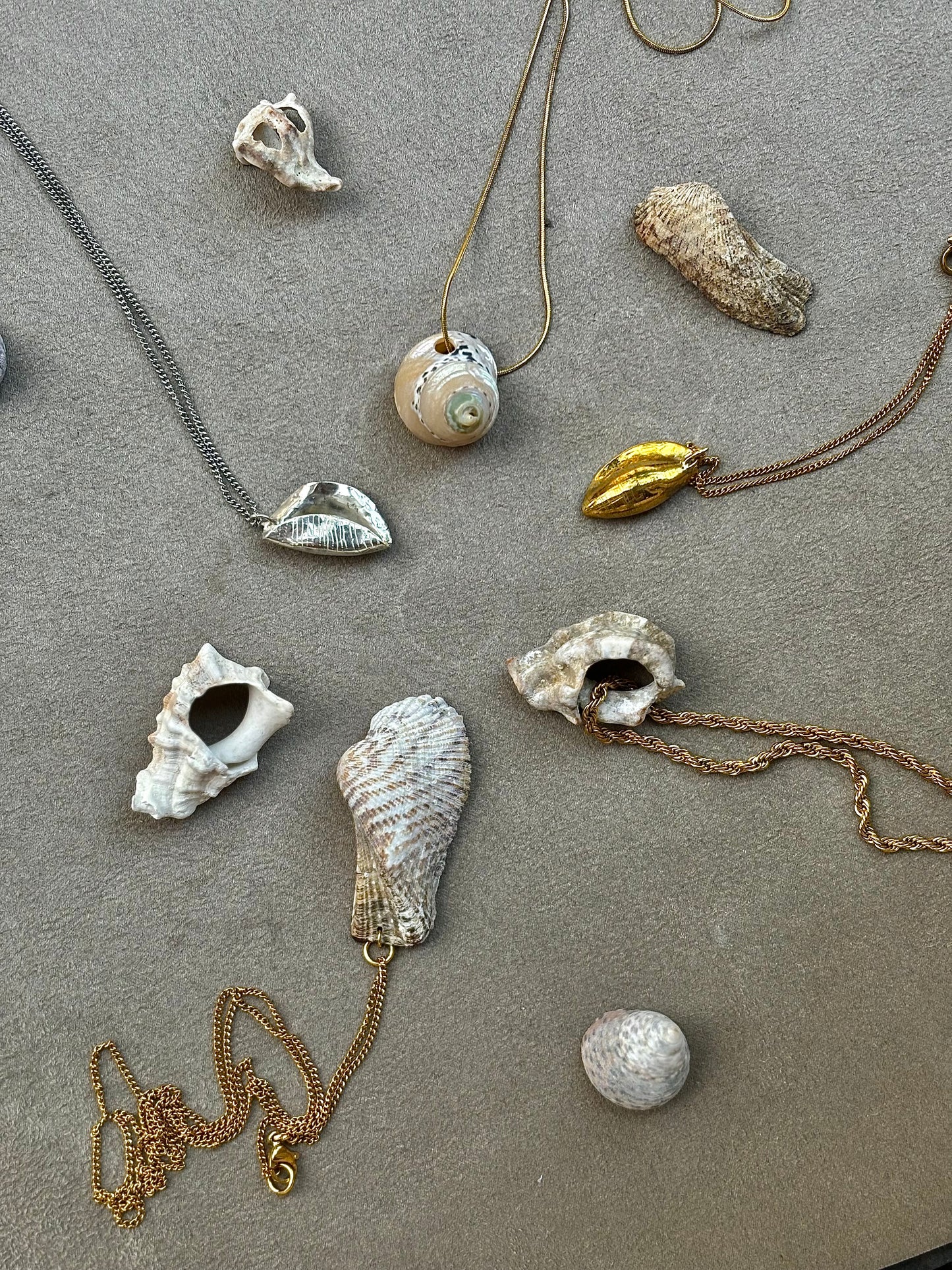 SEASHELL NECKLACE